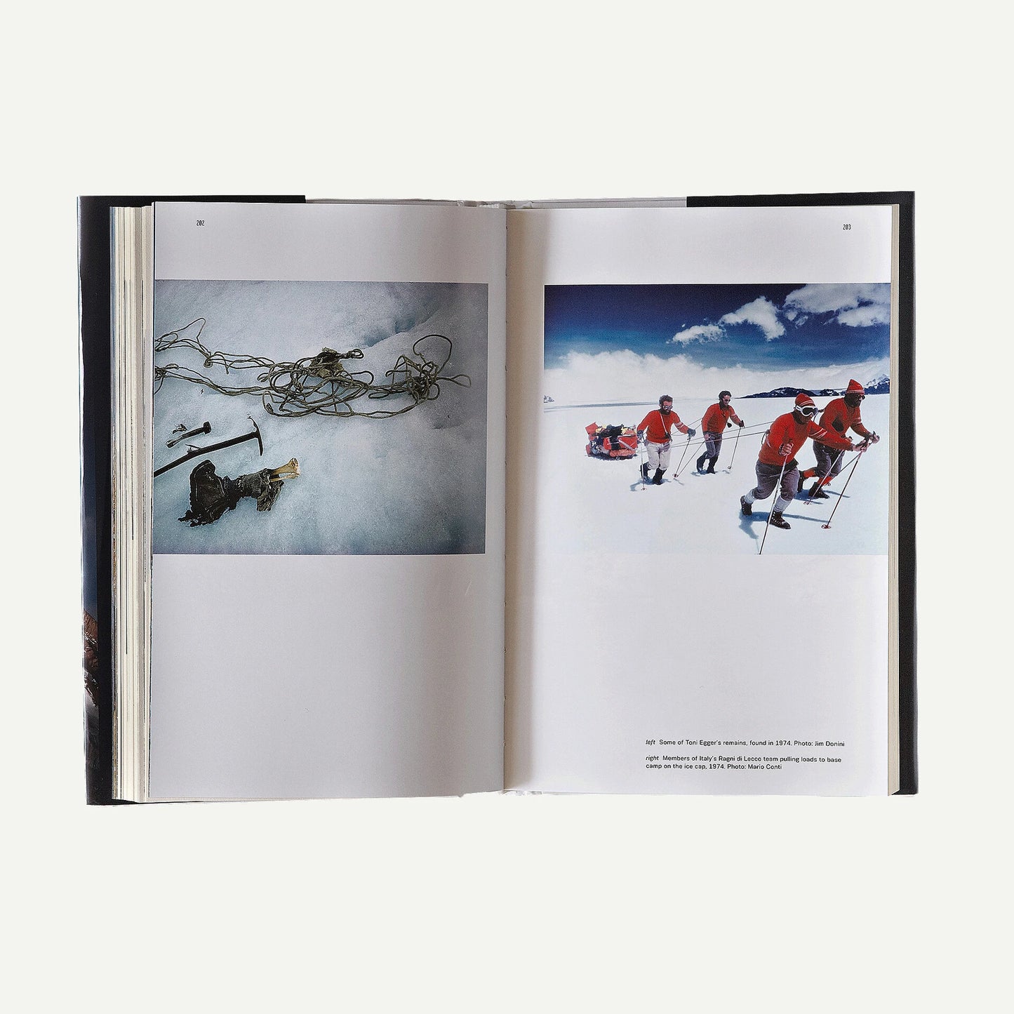 The Tower: A Chronicle of Climbing and Controversy on Cerro Torre (Patagonia® hardcover) - US 8822