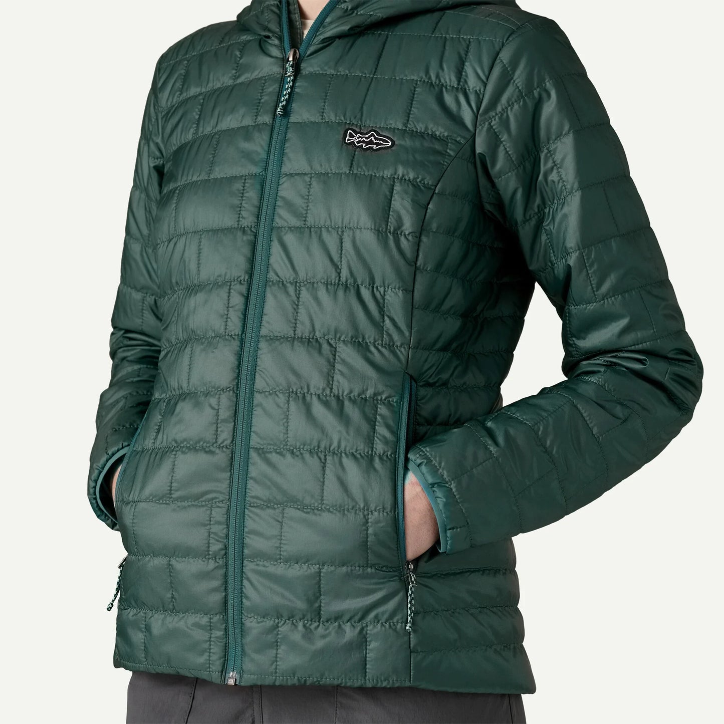 Women's Nano Puff® Fitz Roy Trout Hoody - US 0393