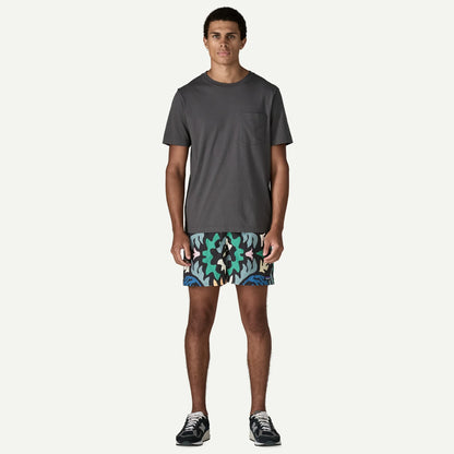 Men's Baggies™ Shorts - 5" - US 4926