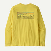 P-6 Outline: Lemon Zest
